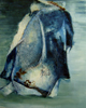 kimono1_small.jpg