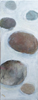 ryoanji3_100.jpg